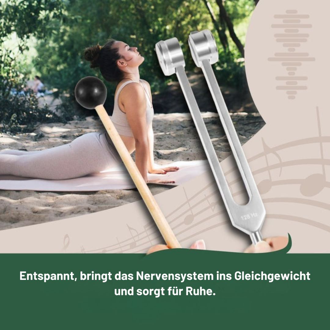 Vollständiges Set | 128 Hz + 256 Hz + 528 Hz + Komfortgriff